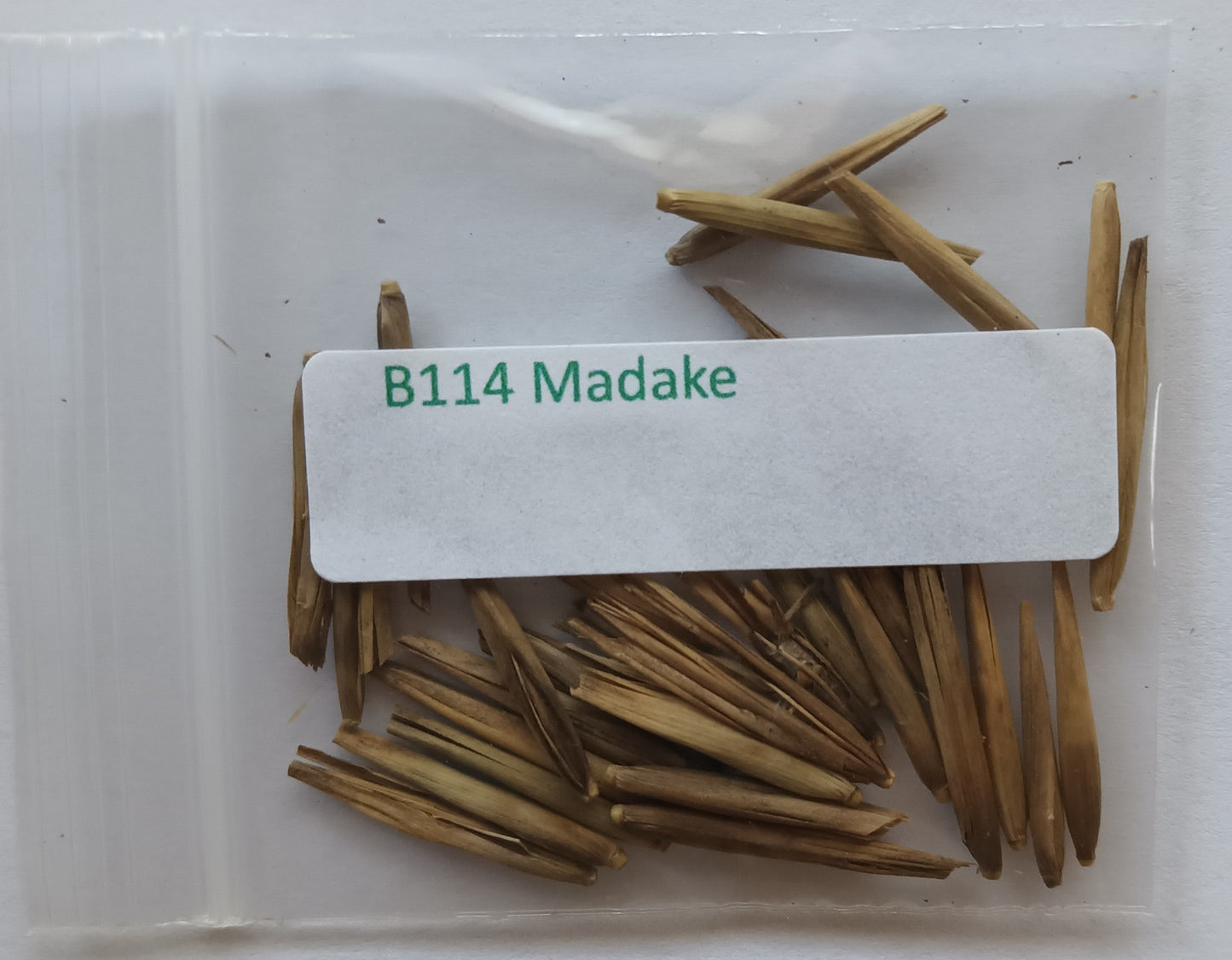 Madake bamboo seeds