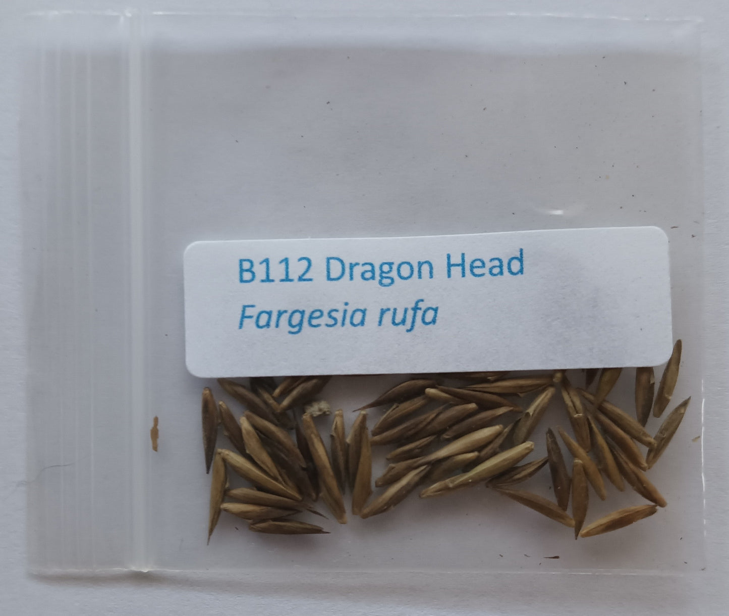 Bamboo seeds rufa
