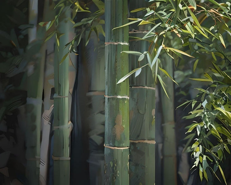 Giant Bamboo Seeds Moso Bamboo For Sale [Phyllostachys Pubescens