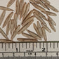 Bengal Bamboo Seeds