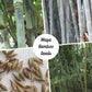 Giant Bamboo Seeds - Waya Bamboo Seeds - Dendrocalamus membranaceus Bamboo Seeds - The Bamboo Seed