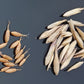 Monastery Bamboo Seeds