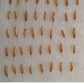 Monastery bamboo seeds germination
