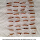 Moso Bamboo Seeds