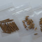 3 Variety Sampler Pack Tropical Bamboo Seeds - The Bamboo Seed